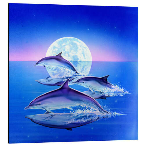 Cuadro de aluminio Dolphin trio