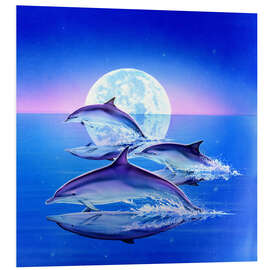 Tableau en PVC Trio de dauphins