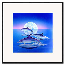 Stampa artistica con cornice Dolphin trio