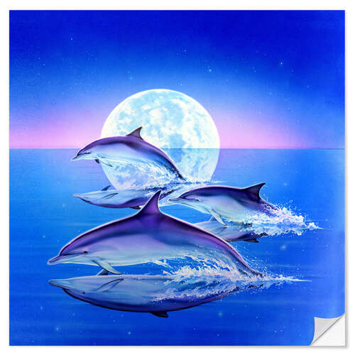 Självhäftande poster Dolphin trio