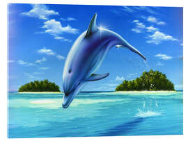 Acrylic print Mid-day dolphin