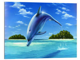 Gallery print Mid-day dolphin