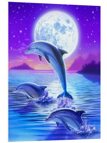 Foam board print Dolphins at midnight