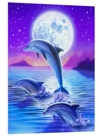 Cuadro de PVC  Los delfines en la noche - Robin Koni