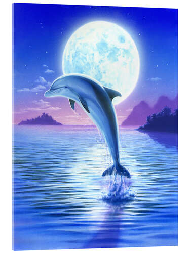 Acrylic print Day of the dolphin - midnight