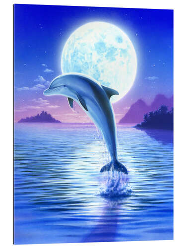 Gallery print Day of the dolphin - midnight