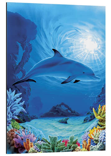 Aluminium print Camouflage dolphins