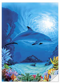 Selvklebende plakat Camouflage dolphins