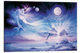 Magnettafel Delfin im Mondlicht