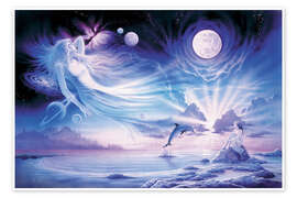 Poster  Delfin im Mondlicht - Robin Koni