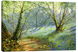 Canvas print Hazel and bluebells