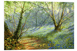 Foam board print Hazel and bluebells