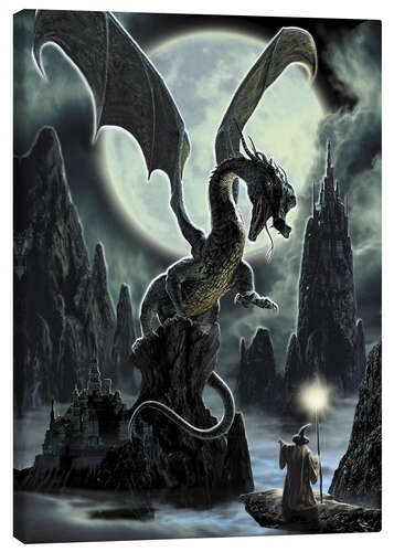 Canvas print Dragons rock