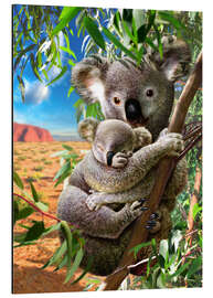 Aluminium print Koala and cub