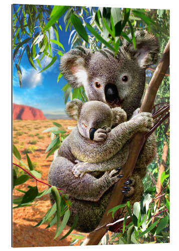 Gallery print Koala and cub