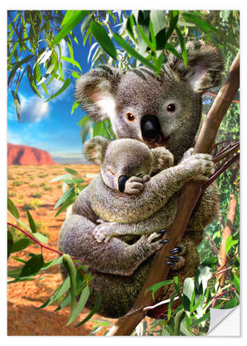 Selvklebende plakat Koala and cub