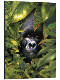 Aluminium print Silver back