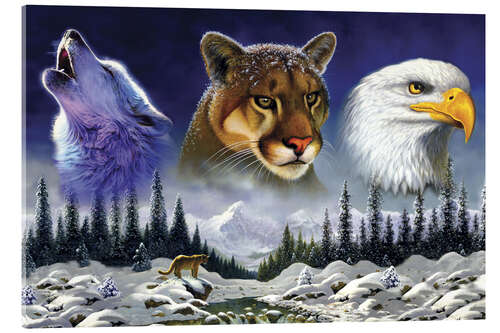 Acrylglasbild Amerikanische Wildtiere