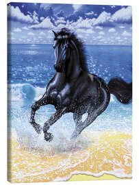 Quadro em tela Black stallion