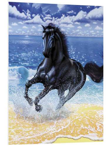 Stampa su PVC Black stallion