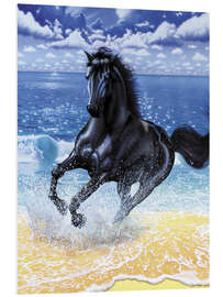 Stampa su PVC Black stallion