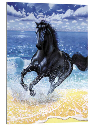 Gallery print Black stallion