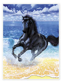 Wall print  Black stallion - Chris Hiett