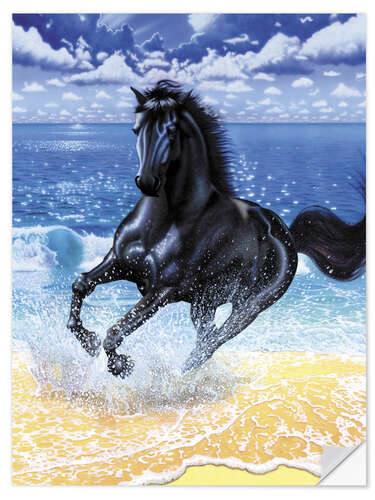 Sisustustarra Black stallion