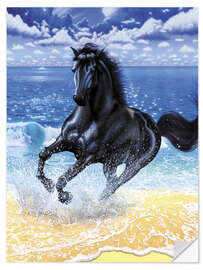 Sisustustarra Black stallion