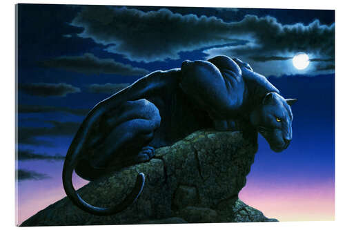 Akrylbillede Panther on rock