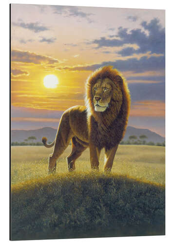 Tableau en aluminium Lion