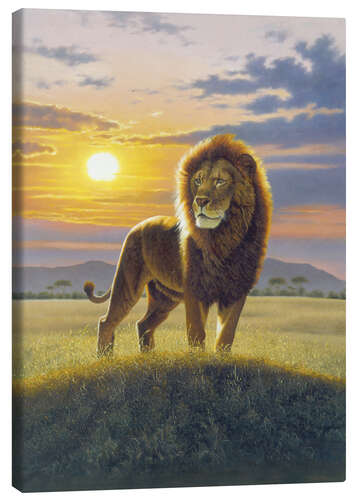 Canvas print Lion