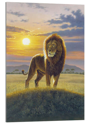 Gallery print Lion