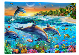 Akrylglastavla  Dolphin bay - Adrian Chesterman
