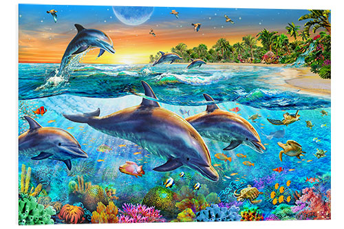 PVC print Dolphin bay