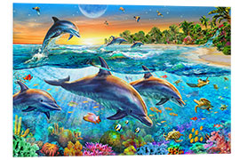 Foam board print Dolphin bay