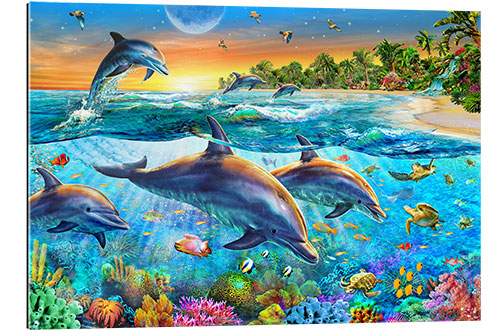 Cuadro de plexi-alu Dolphin bay