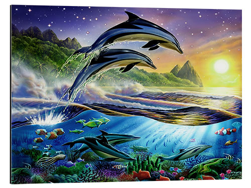 Aluminium print Atlantic dolphins