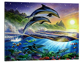 Tableau en plexi-alu Dauphins de l&#039;Atlantique