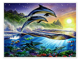 Veggbilde  Atlantic dolphins - Adrian Chesterman