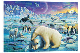Akryylilasitaulu  Arctic Night - Adrian Chesterman