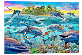 Foam board print Dolphin Reef