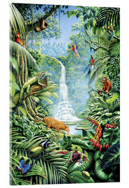 Acrylic print  Save the rainforest - Gareth Williams