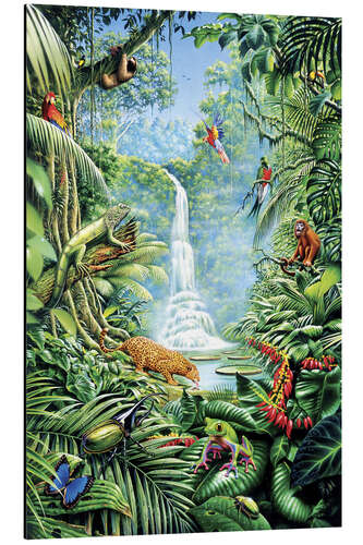 Tableau en aluminium Forêt tropicale et ses habitants