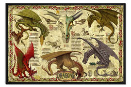 Gerahmter Kunstdruck Studium der Drachen