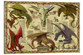 Magnettafel Studium der Drachen