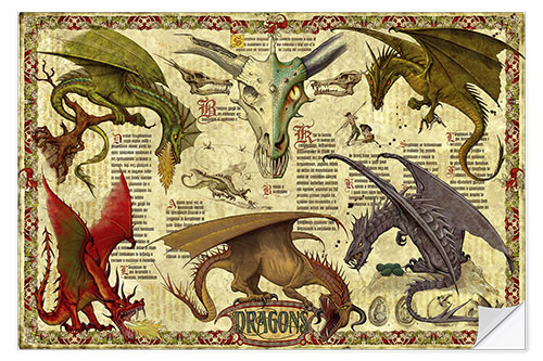 Selvklebende plakat Dragon study