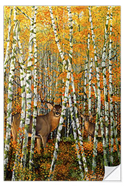 Vinilo para la pared Autumn stags