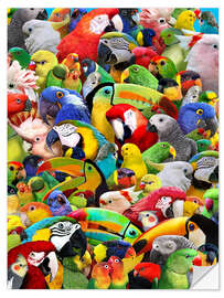 Selvklebende plakat Parrot Heads