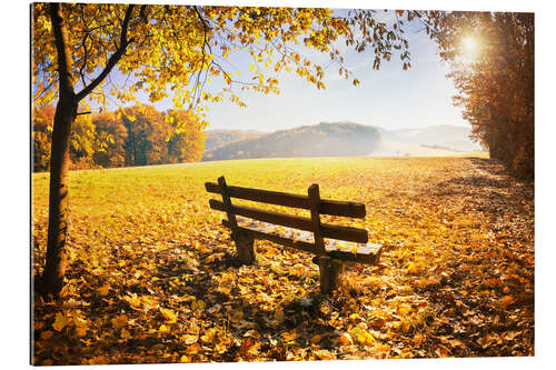 Gallery print Golden autumn forest with sunlight